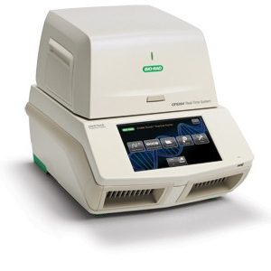 BioRad CFX96 PCR-detektionssystem i realtid